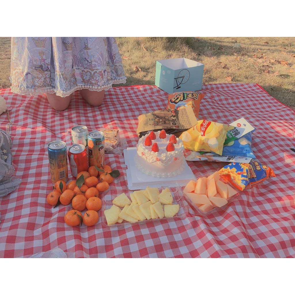 Bạt Trải Picnic 200x200cm Miếng Lót Du Lịch Dã Ngoại Xếp Gọn Họa Tiết Caro LY-015