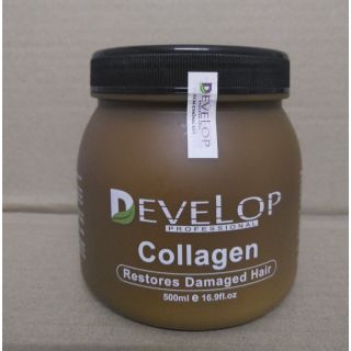 Hấp phục hồi Collagen DEVELOP siêu phục hồi tóc hư tổn.