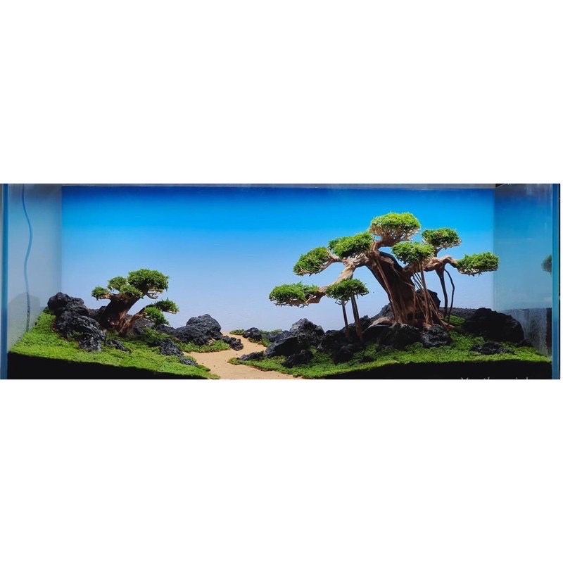 Tranh ADA dán hồ cá, bể thủy sinh - mẫu tranh open sky tạo bầu trời rộng mở, có keo sẵn, chất liệu decal dày dặn
