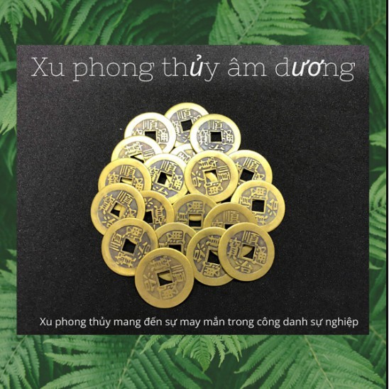 Combo 20 đồng xu phong thủy, chất liệu đồng, đem may mắn, tài lộc, cầu bình an