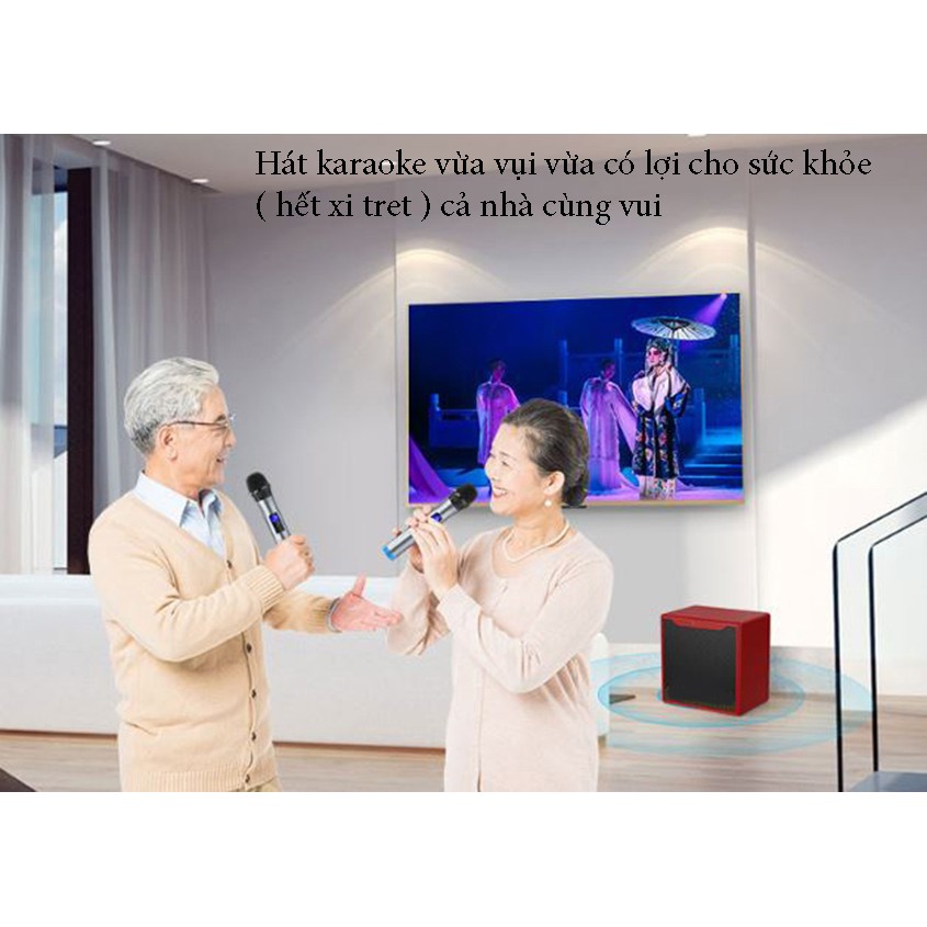Bộ loa hát karaoke gồm 2 micro UHF dùng cho tivi smart và điện thoại Amoi L6P