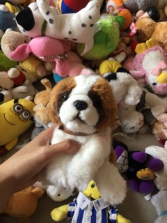 Gấu bông đồng giá size 17-20cm