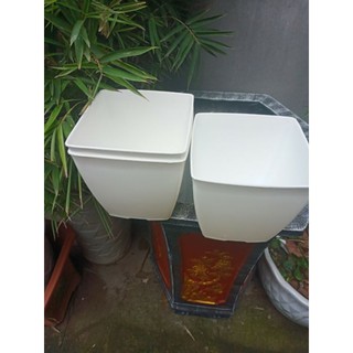 Chậu nhựa siêu đẹp phi 16cm màu trắng