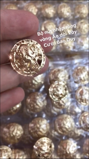 Nút rồng vàng nam
