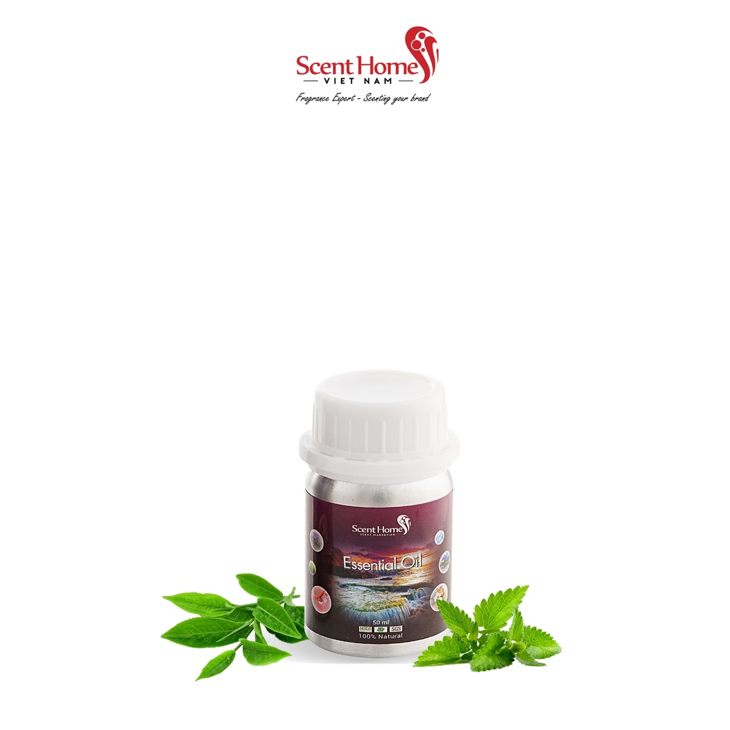 [Chính hãng] Tinh dầu nước hoa Tea &amp; Mint - Scent Homes (Tea &amp; Mint- 50ml,100ml,250ml)
