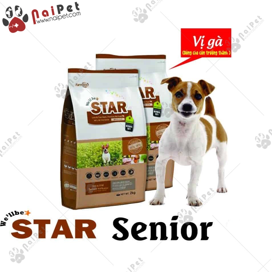 Thức Ăn Hỗn Hợp Cho Chó We’ll Be Star Senior 400g