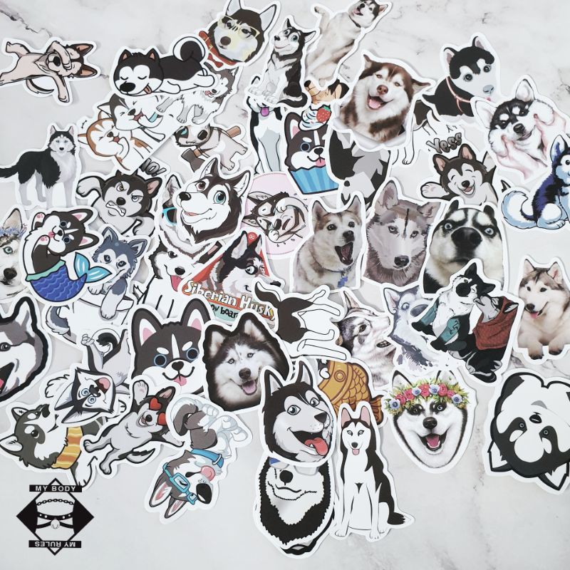 Set sticker/hình dán/decal chó Husky 048.