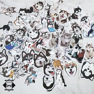 Set sticker/hình dán/decal chó Husky 048.