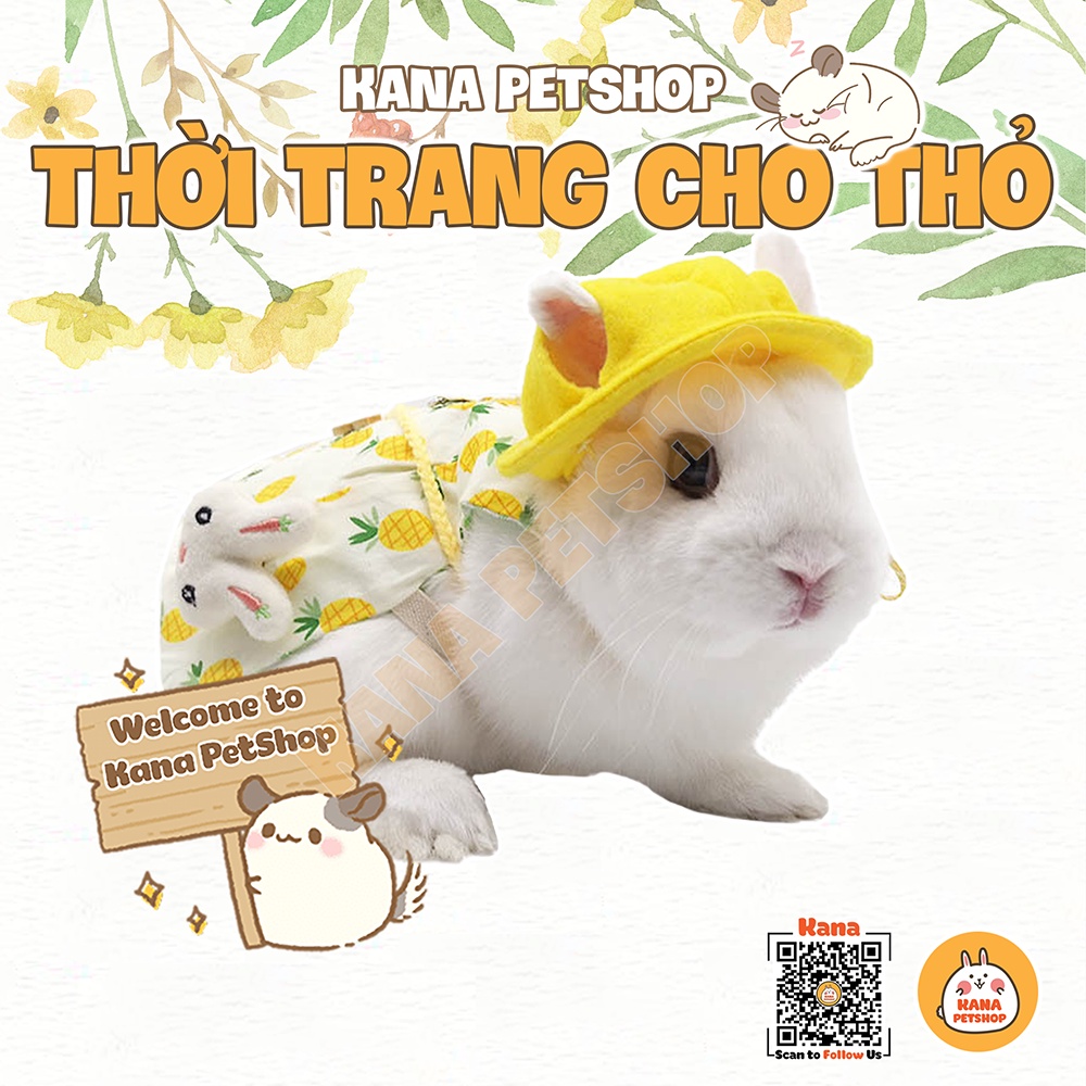 Dây Dắt Set Váy Áo Quần Cho Thỏ  FreeShip  Dây Dắt Váy Công Chúa Nhiều Họa Tiết Cho Thỏ, Sóc, Mèo , Chó Nhỏ ....