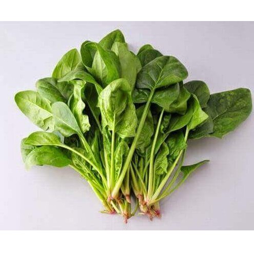 1KG Hạt giống rau Cải Bó Xôi chịu nhiệt_Rau chân vịt_Rau Bina F1 Ấn Độ