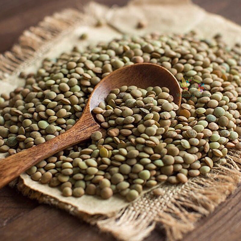 Đậu lăng xanh nguyên hạt (Green Lentils)