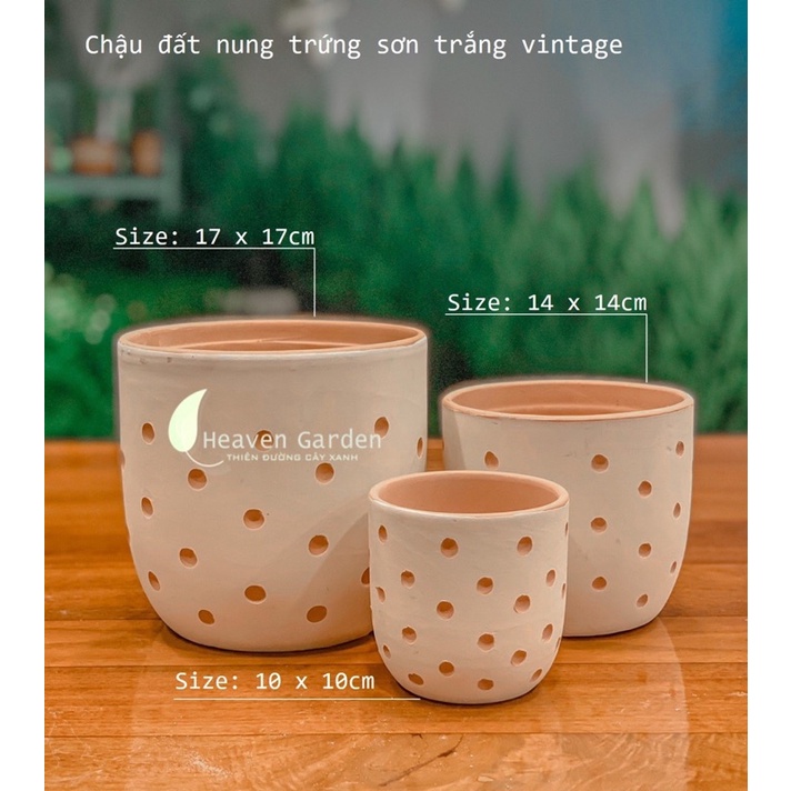 Chậu đất nung trứng sơn trắng vintage - chậu trồng cây