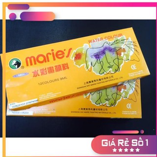 MÀU NƯỚC MARIE'S 12 MÀU E1306