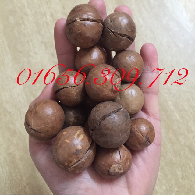 Hạt macca nứt tự nhiên loại 1