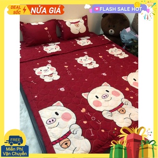 Chăn hè mẫu ms008,kích thước 1m8x2m,vải cotton poly mềm mịn