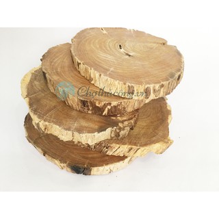 Khoanh, miếng gỗ tròn trang trí, decor, lót ly 9-12cm