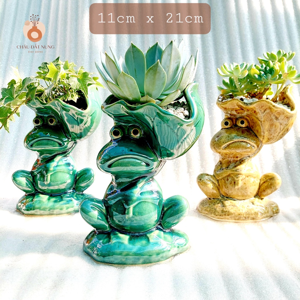 Chậu men, Chậu sen đá - Chú ếch vác lá sen, miệng chậu 11cm, chiều cao 21cm