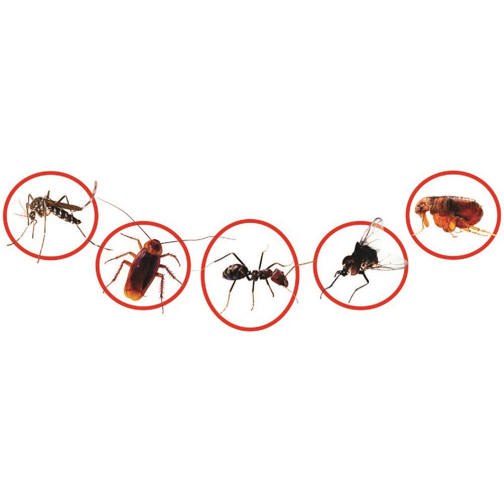 Combo 10 Thuốc diệt kiến gián Fendona 10 SC (5ml)