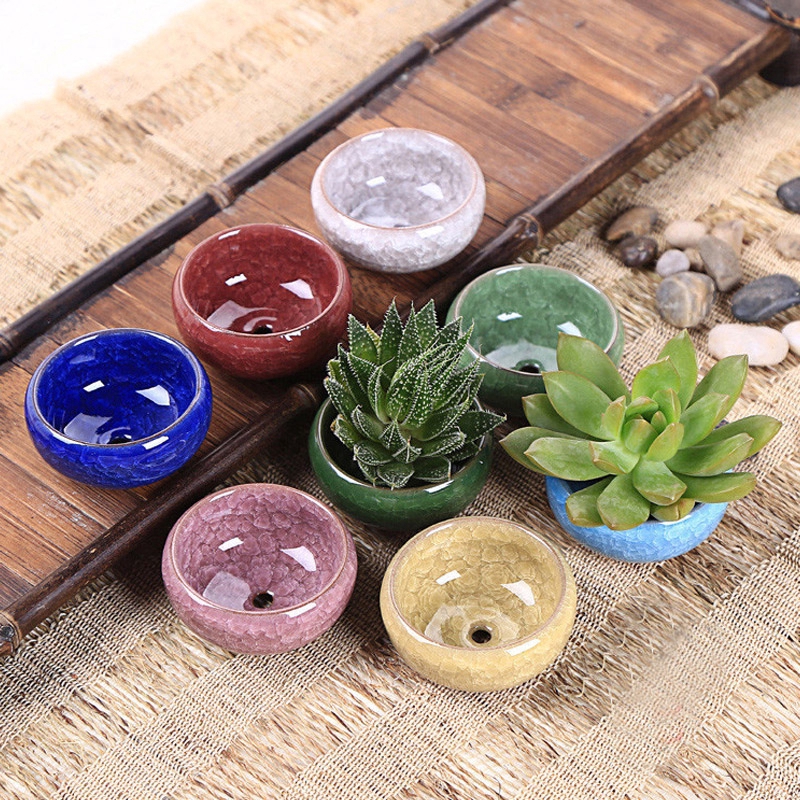 Chậu cây mini bằng gốm sứ dùng để trang trí