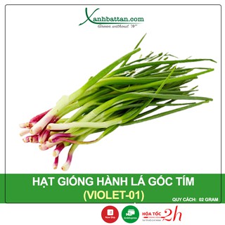 Hạt Giống Hành Lá Gốc Tím Phú Nông Gói 2 Gram