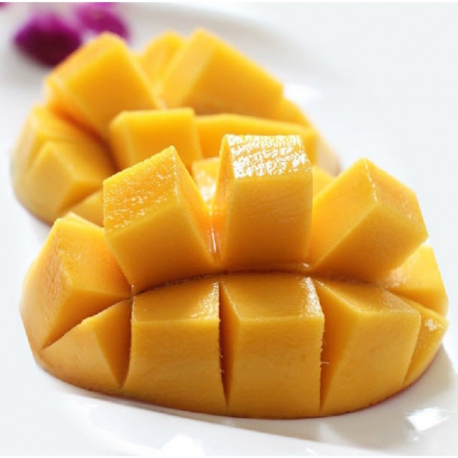 Cây giống Xoài Cát Hòa Lộc_ 👍👍_Cây to, khỏe, gốc lớn cao 1m