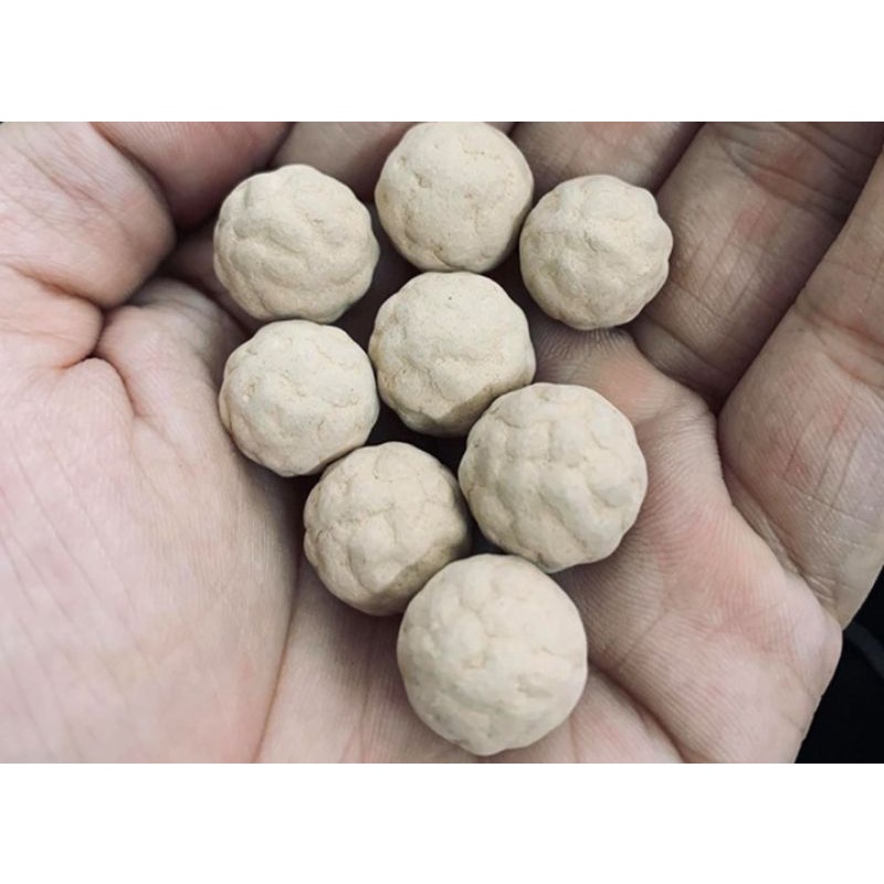 Gốm sinh sản cho tép