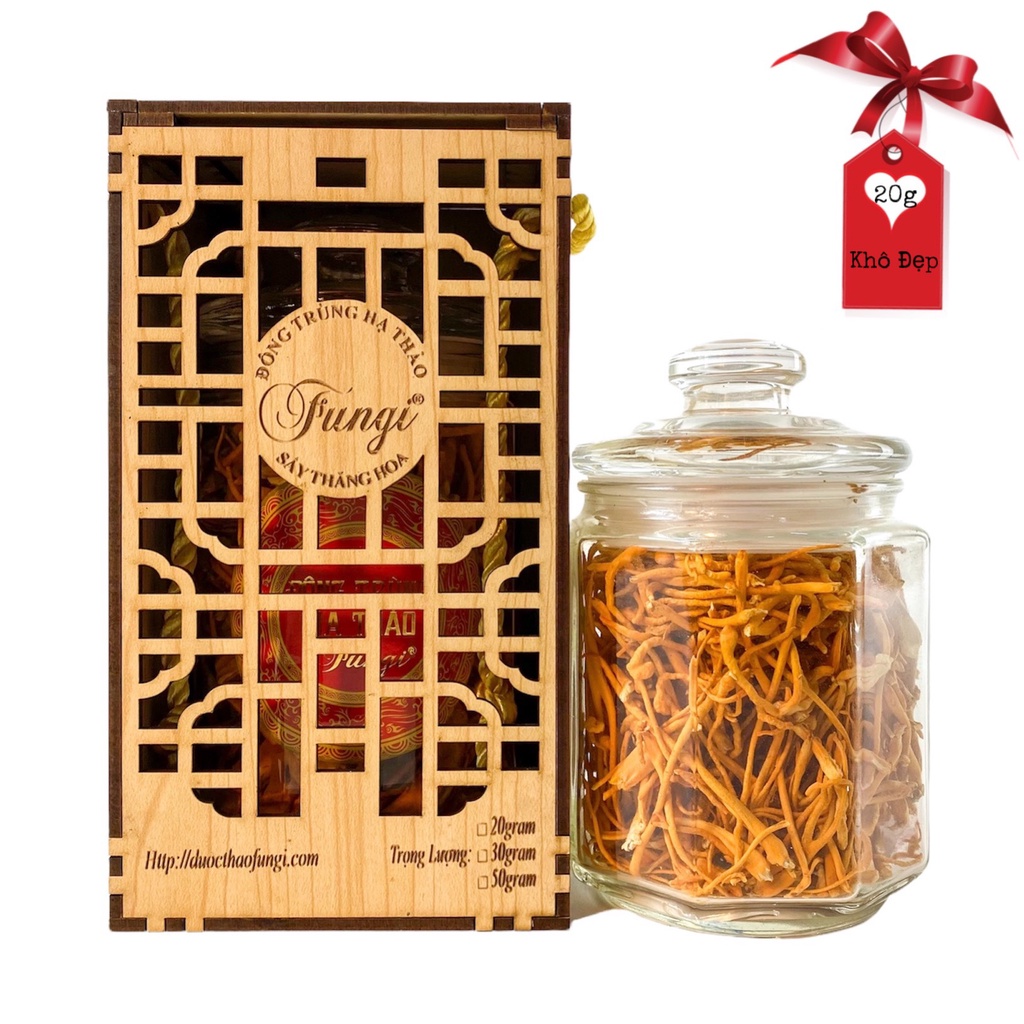 Nấm Đông Trùng Hạ Thảo khô sấy thăng hoa Fungi 20g sợi đẹp - Dược Thảo Fungi