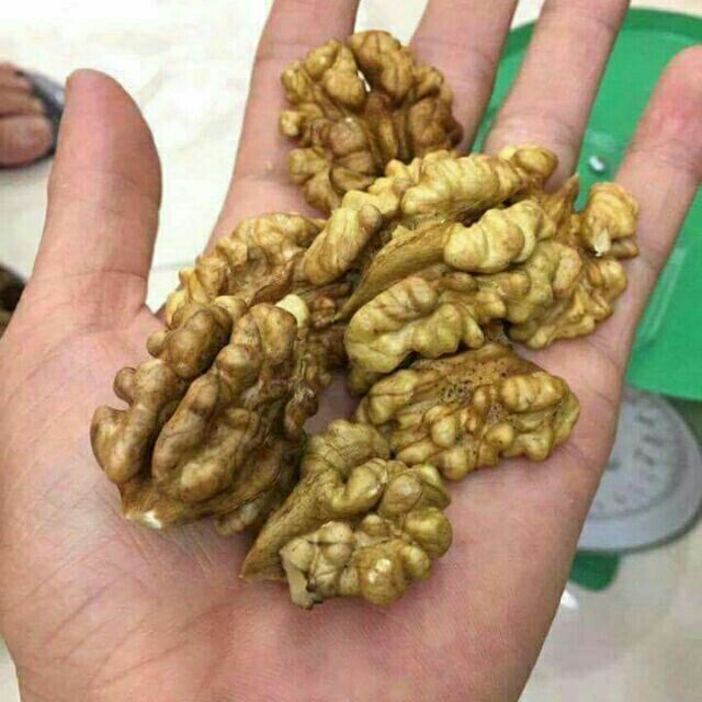 500g nhân óc chó