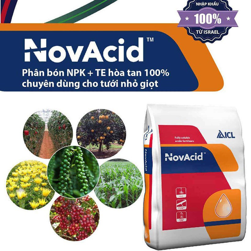 Phân bón hòa tan Israel NPK NovAcid 22-11-11+6MgO+Te giúp thúc cây bung chồi non đồng loạt, tăng kích cở trái thông qua