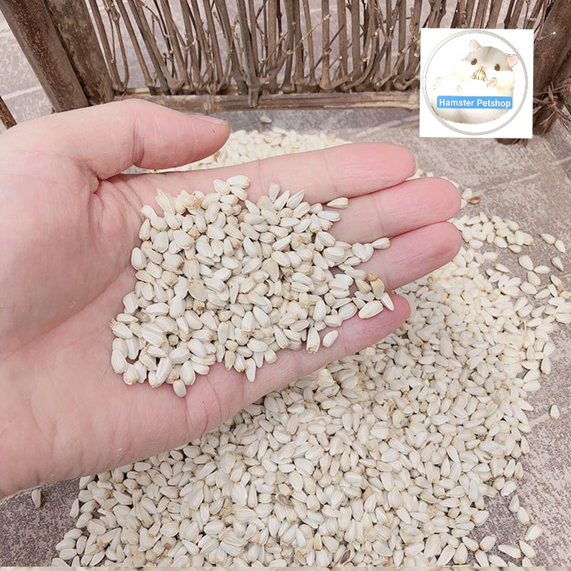 Hạt Kham dinh dưỡng cho hamster , thỏ , bọ , sóc, chim 100gr