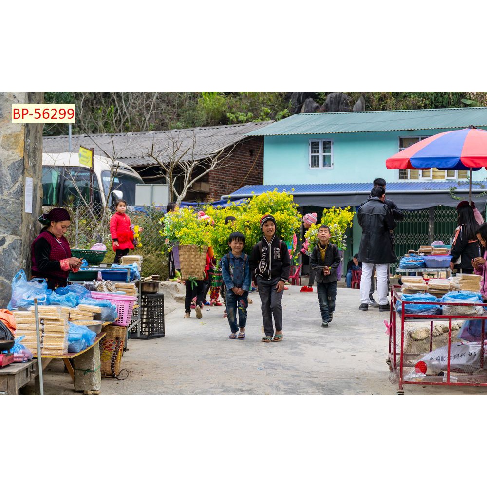 Tranh dán tường Việt Nam 3D Màu sắc tươi sáng, độ sắc nét cao, độ bền màu từ 10 năm trở lên