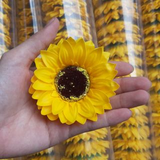 Hoa sáp hướng dương