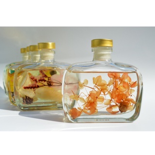 Tinh dầu nước hoa thơm phòng, tinh dầu trang trí phòng dung tích 100ml