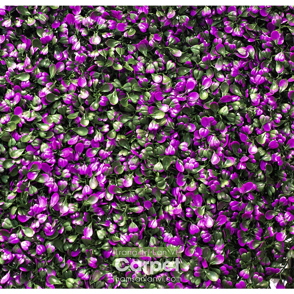 Cỏ nhân tạo treo tường, tấm cỏ nhựa cải xoang tím trang trí không gian nhà cửa kích thước 40cm x 60cm