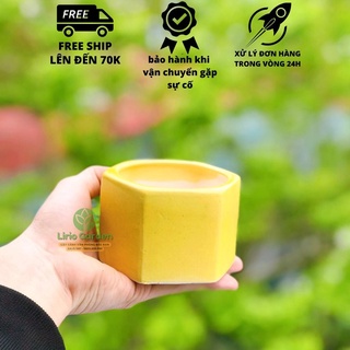 Chậu trồng cây cảnh hình lục giác