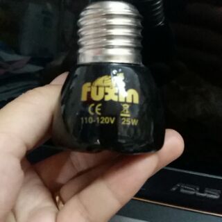 Đèn sưởi sứ mini 25/50/75/100w