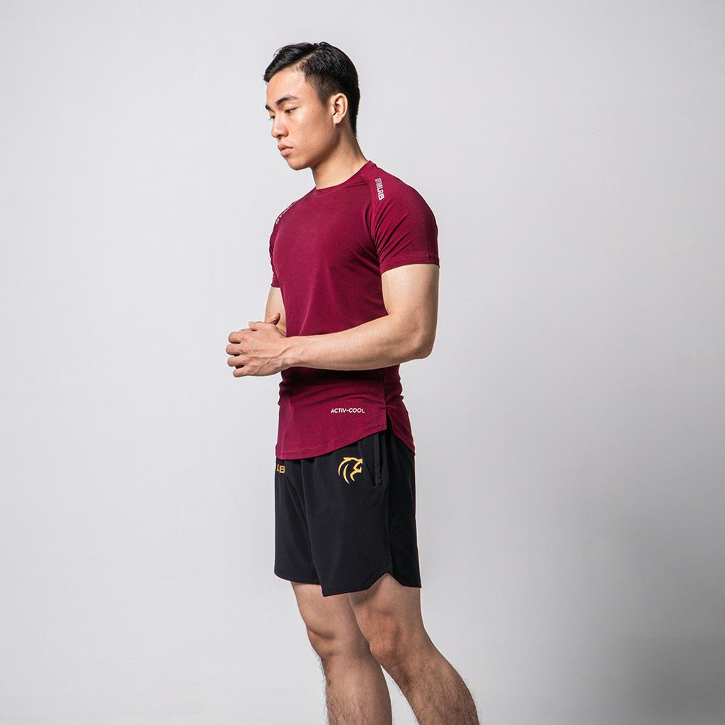 Áo thể thao tập gym nam Gymlab tay ngắn cổ tròn form fit vải poly thoáng mát - ARM LOGO