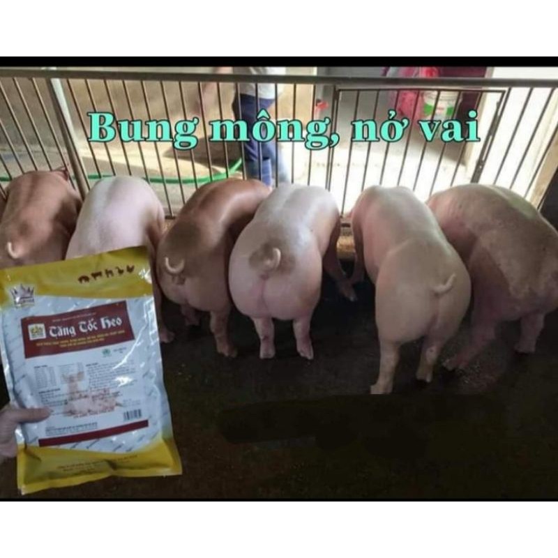 TĂNG TỐC HEO, LỚN NHANH, HẠN CHẾ TIÊU CHẢY, BUNG MÔNG NỞ VAI 1KG/GÓI