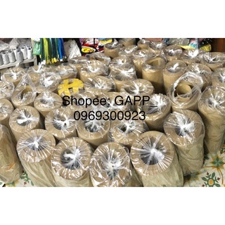 Giấy bìa cứng
