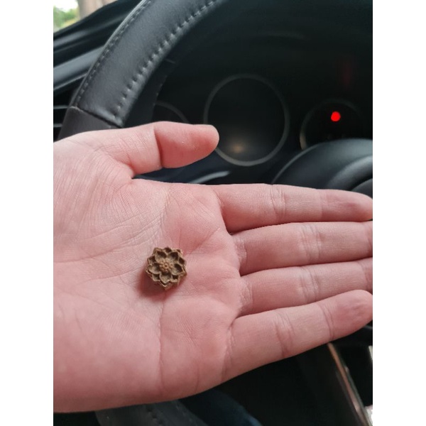 Charm hoa sen sánh chìm nước - Trầm hương Sánh Chìm