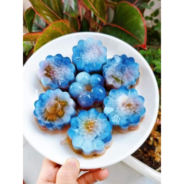 Bộ 10 khuôn hình hoa