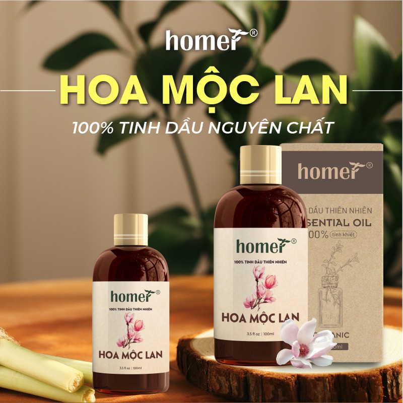 Tinh dầu Hoa Mộc Lan Pháp Homer 20ml/100ml giá dùng thử - Magnolia Essential Oil  - đạt chuẩn chất lượng kiểm định