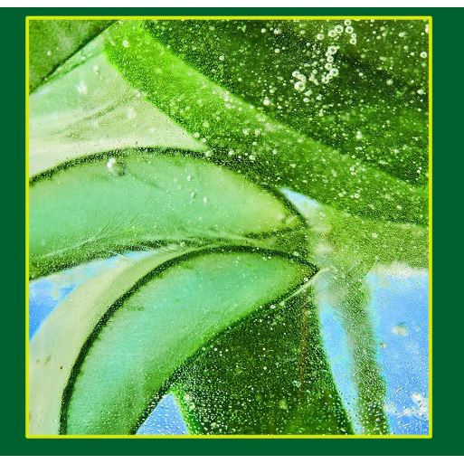 Aloe Soothing Gel 200ml│Gel Lô Hội Làm Dịu Da 200ml│Bộ Đồ Chơi Nhân Vật Hoạt Hình Manyo │Tinh Chất Dạng Ống Tiêm Giúp Làm Sạch Da Mặt / Toner / Dầu Gội Đầu Tiện Dụng