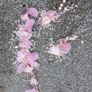 🍓🍓dây voan bươm bướm 🦋🦋🦋