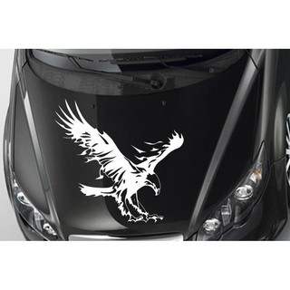 Decal Hình Đại Bàng Dán Xe ( Trắng)