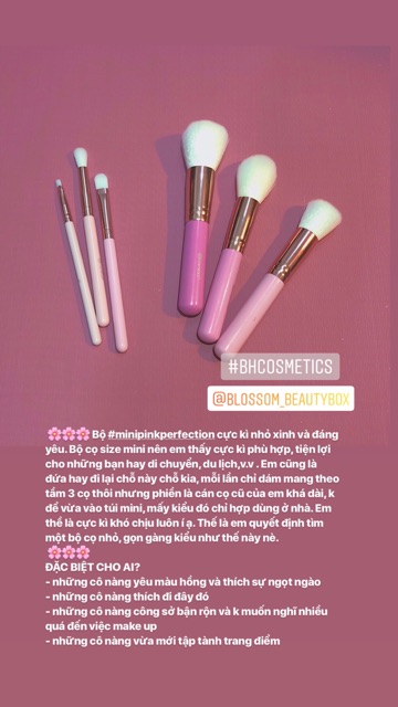 Cọ mini pink Bh cosmetics
