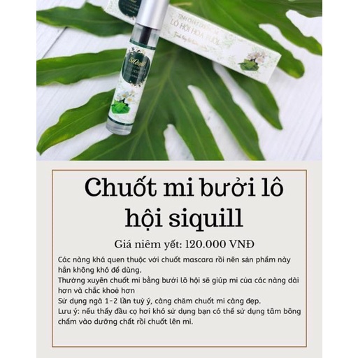 Dưỡng mi bưởi lô hội Siquill ⚡𝘾𝙝𝙞́𝙣𝙝 𝙃𝙖̃𝙣𝙜 100%⚡ HỮU CƠ nhanh dài mi mi chắc khỏe