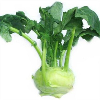 HẠT GIỐNG SU HÀO OP (NN.113)- 5gam