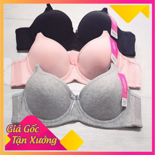 Áo Lót Cotton Đệm Mỏng có gọng nâng ngực ms 613