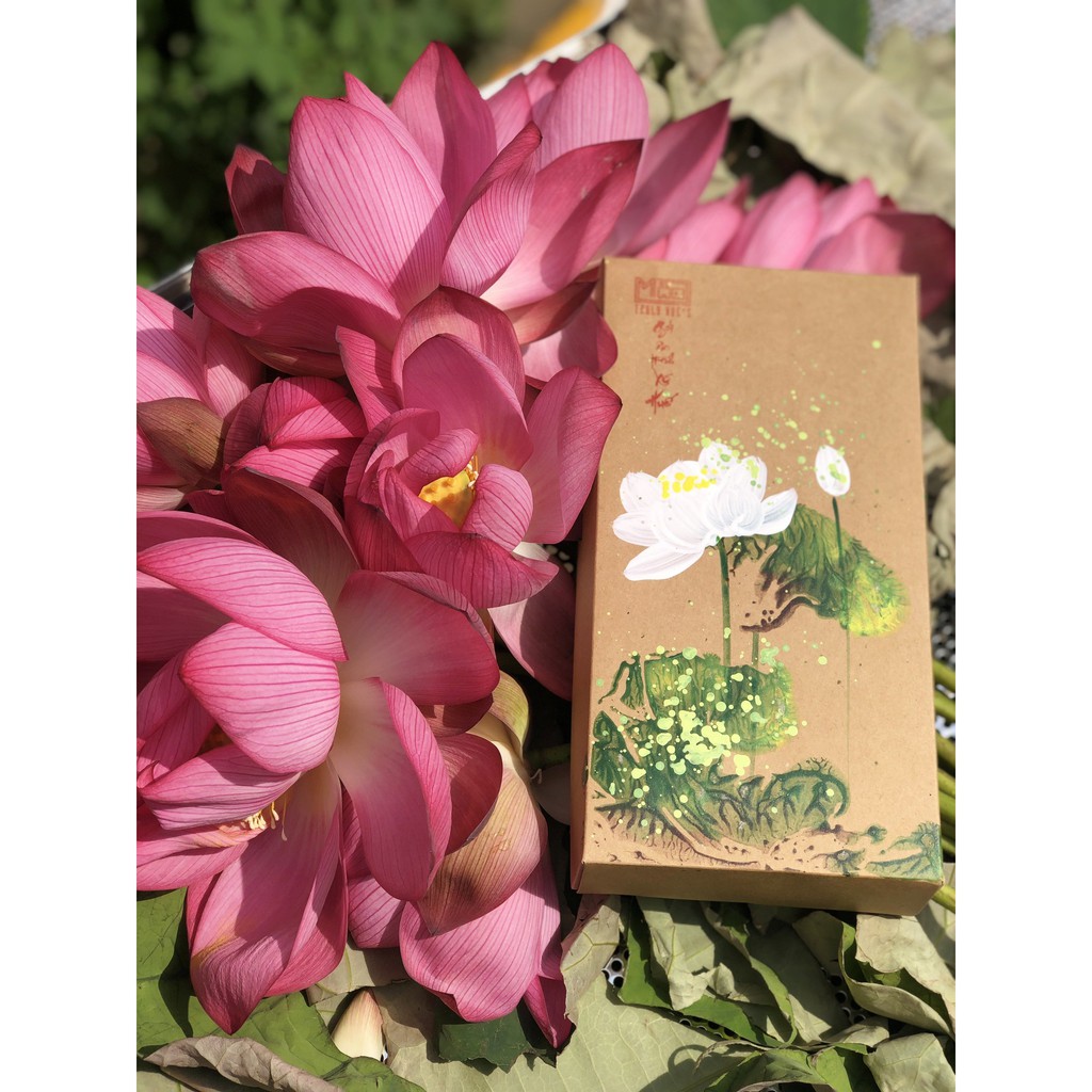 Trà sen Mộc Truly, hoa sen khô, trà hoa sen giảm căng thẳng, giải nhiệt, đậm đà hương vị sen Huế, hộp vẽ tay gồm 5 bông
